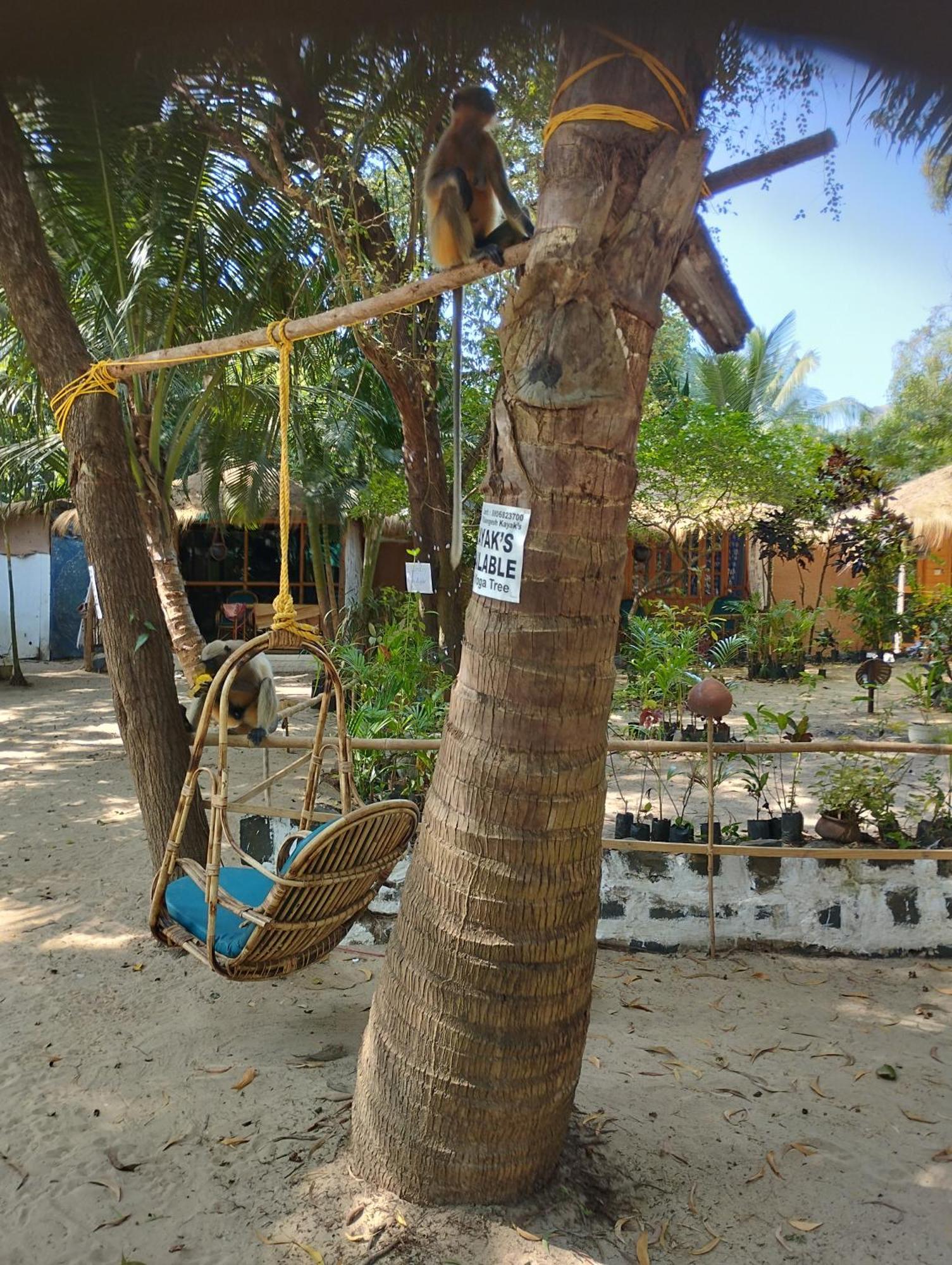 Hotel Yoga Culture Palolem Exteriér fotografie