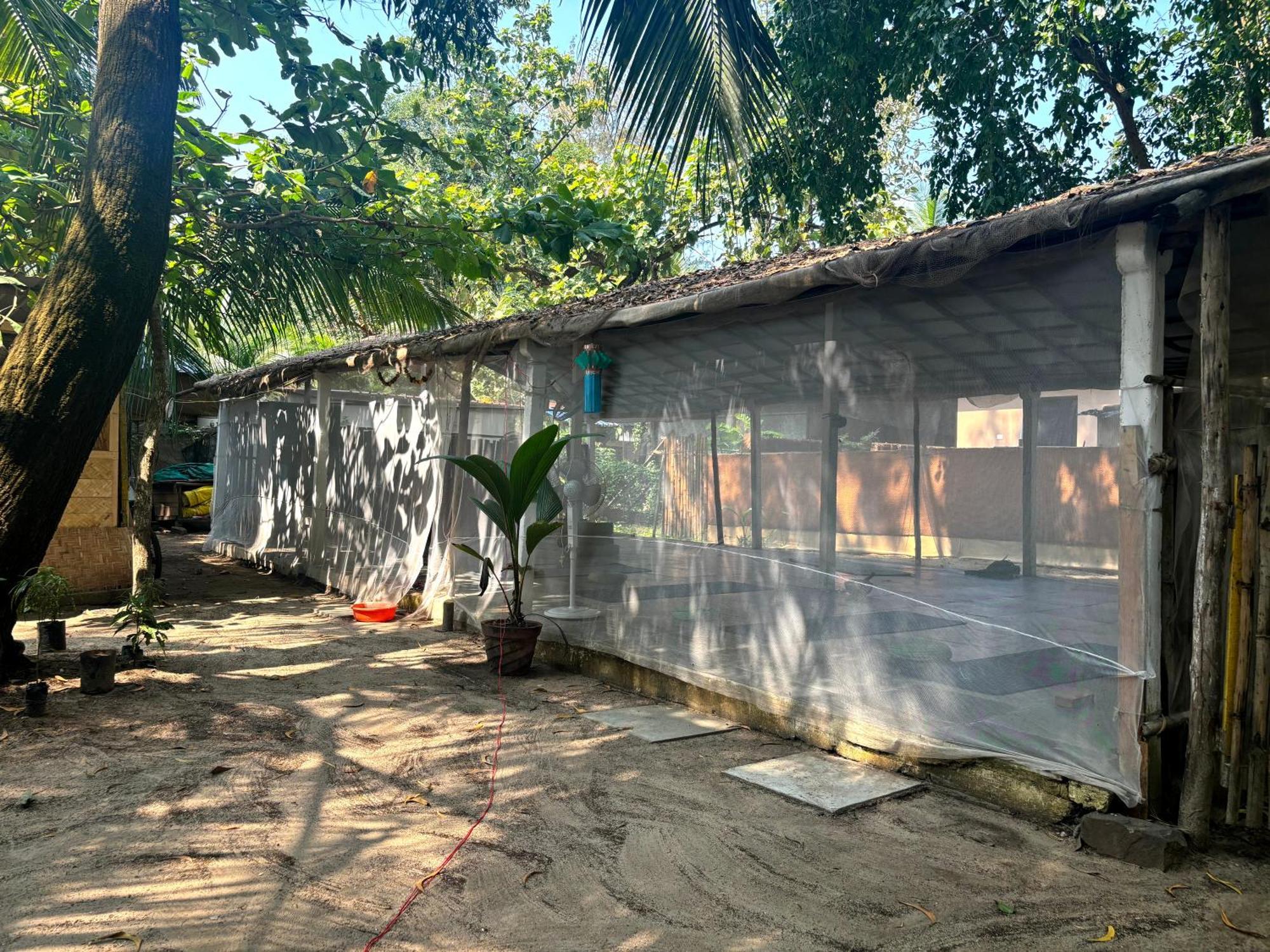 Hotel Yoga Culture Palolem Exteriér fotografie